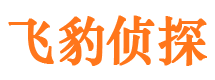 清水河市侦探公司